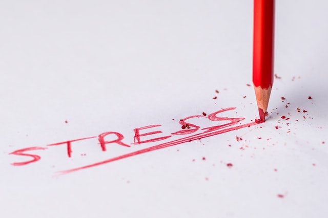 The The stress hormone and burnouthormone