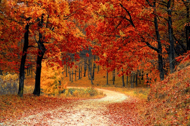 Ecotherapy and spending time outside