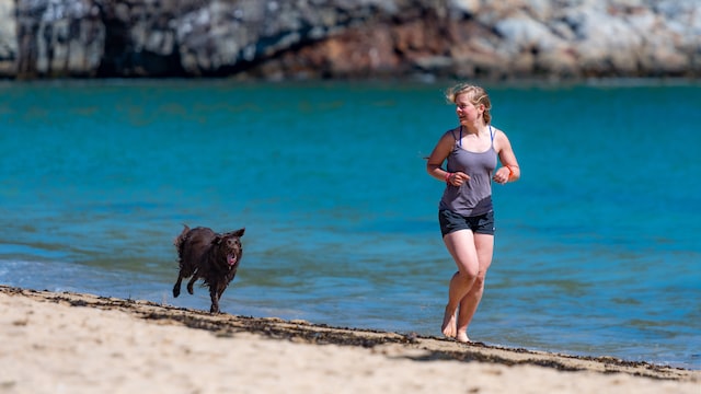 Getting Started with Fitness