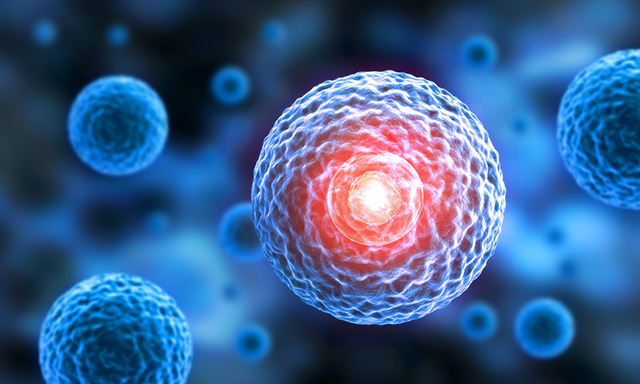 Pulsed Electromagnetic Field Therapy