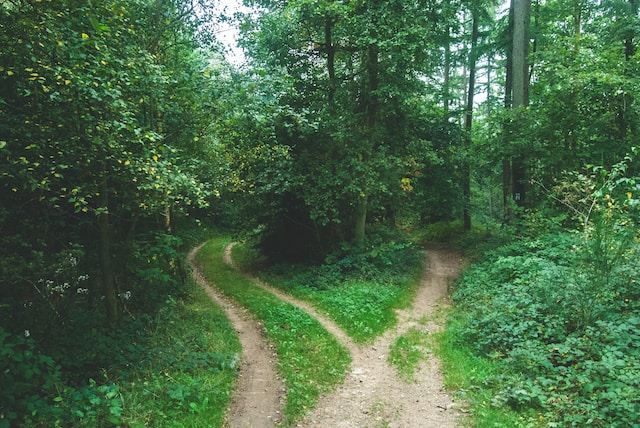 Anxiety at a crossroads