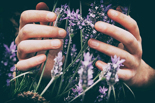 Holistic Health and Mineral Balancing