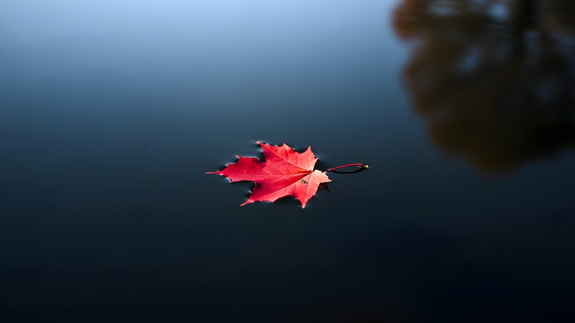 Who Are You Without Your Routine?