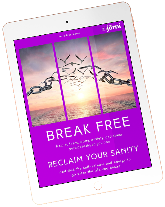 Break Free and Reclaim Your Sanity Cover