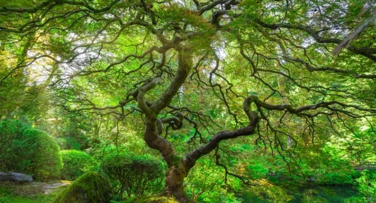 Can You Stay Grounded and Agile at the Same Time Article