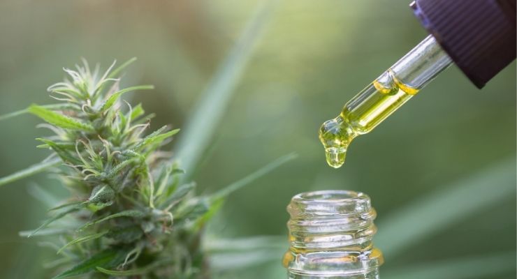 The Secret Truth about CBD Products